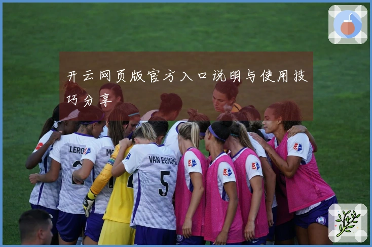 开云网页版官方入口说明与使用技巧分享