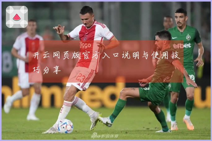 开云网页版官方入口说明与使用技巧分享